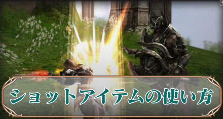 ショットアイテムアイキャ