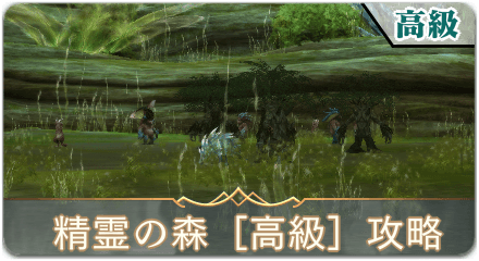 精霊の森高級サムネ