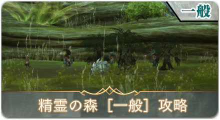 精霊の森一般サムネ