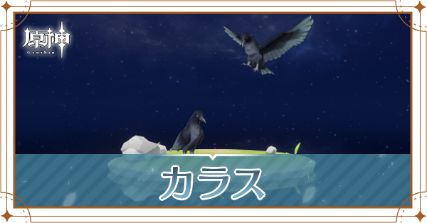 カラスの入手場所と使い道