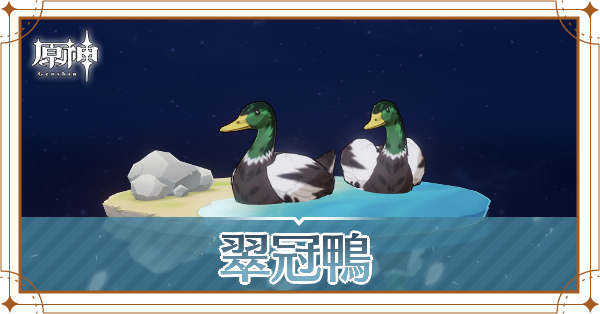 翠冠鴨の入手場所と使い道