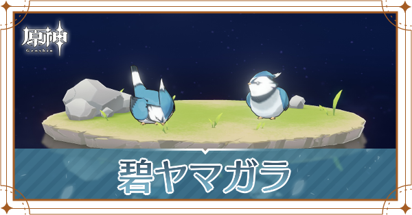 碧ヤマガラの入手場所と使い道