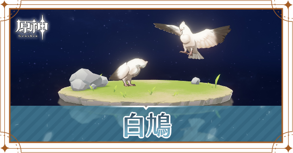 白鳩の入手場所と使い道