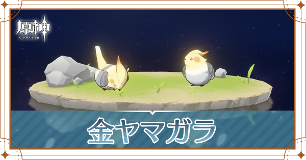 金ヤマガラの入手場所と使い道