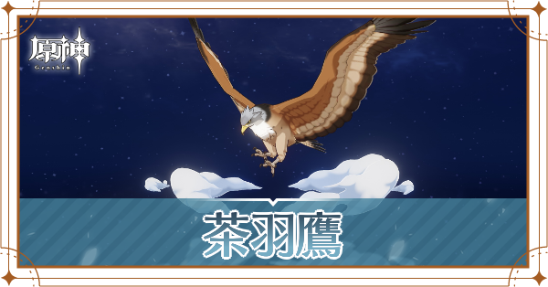 茶羽鷹の入手場所と使い道