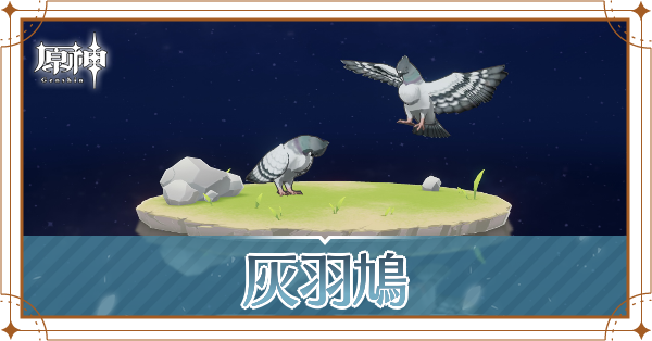 灰羽鳩の入手場所と使い道