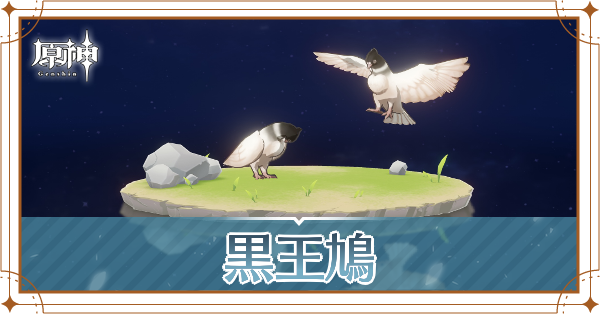 黒王鳩の入手場所と使い道