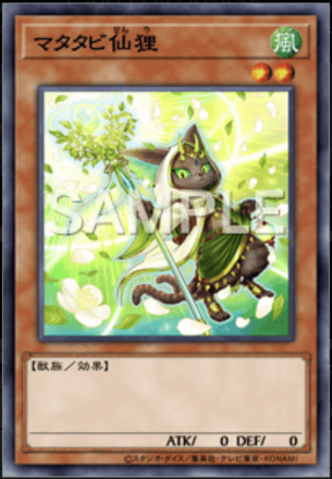 マタタビ仙狸画像