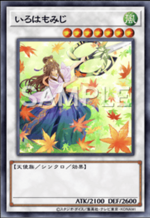 いろはもみじ画像