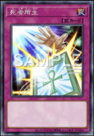 死者所生画像