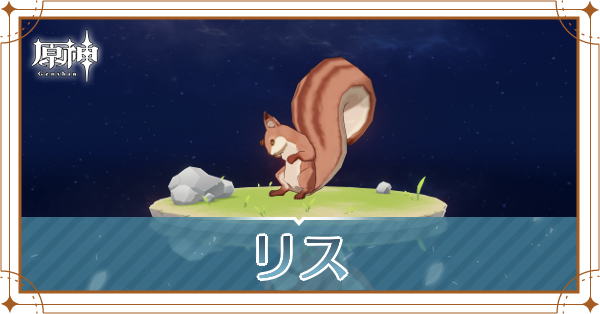 リスの入手場所と使い道