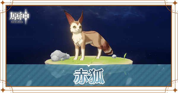 赤狐の入手場所と使い道