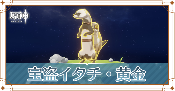 宝盗イタチ・黄金の入手場所と使い道