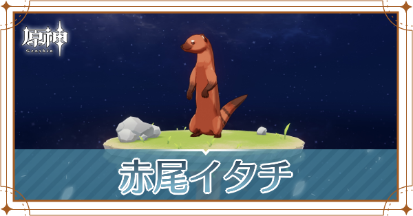 赤尾イタチの入手場所と使い道