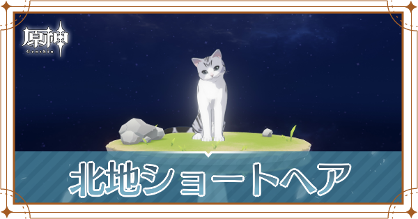 北地ショートヘアの入手場所と使い道