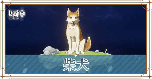 柴犬の入手場所と使い道