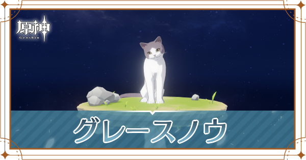 グレースノウの入手場所と使い道