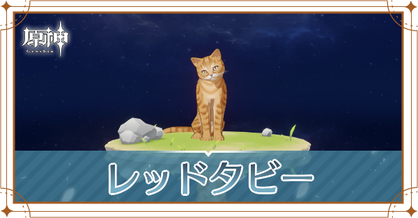 レッドタビーの入手場所と使い道