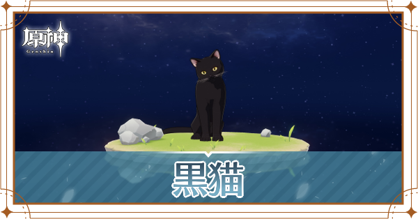 黒猫の入手場所と使い道