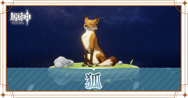 狐の入手場所と使い道