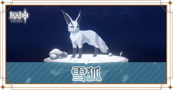 雪狐の入手場所と使い道