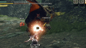 ビシュテンゴ亜種の構えキック