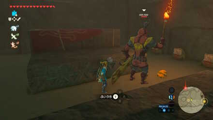 ブレワイの英傑の服