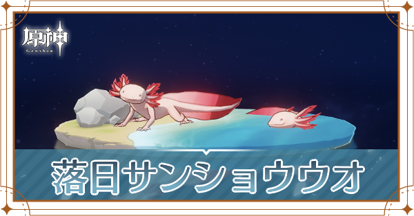 落日サンショウウオの入手場所と使い道