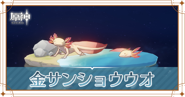 金サンショウウオの入手場所と使い道