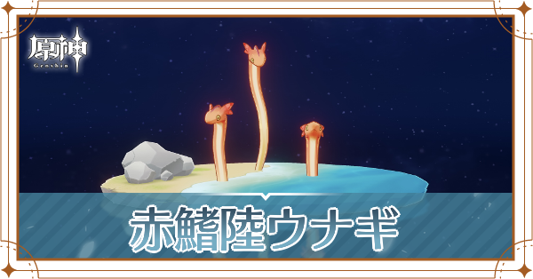 赤鰭陸ウナギの入手場所と使い道