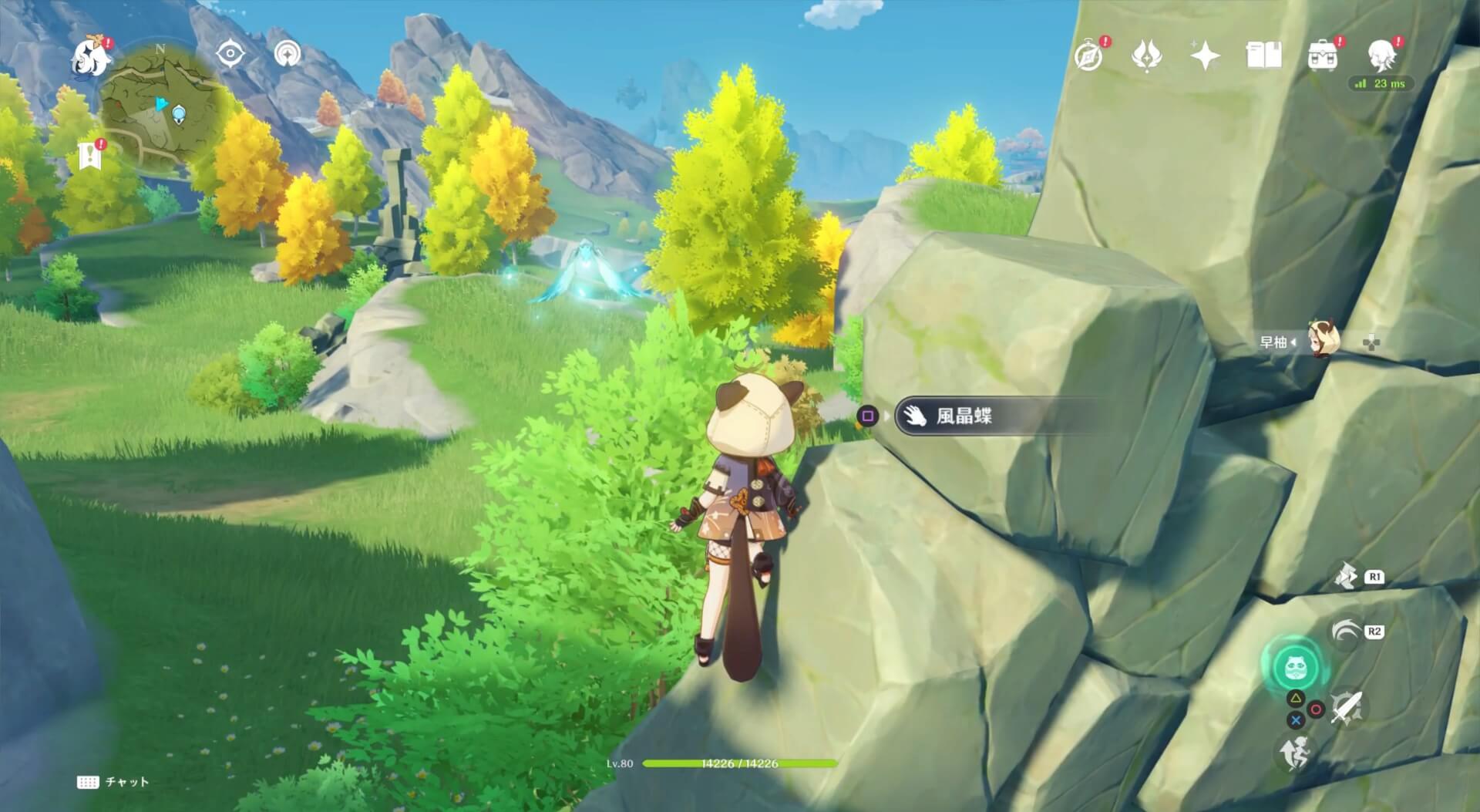 四方八方の網を使わずに捕まえると晶核が入手できる