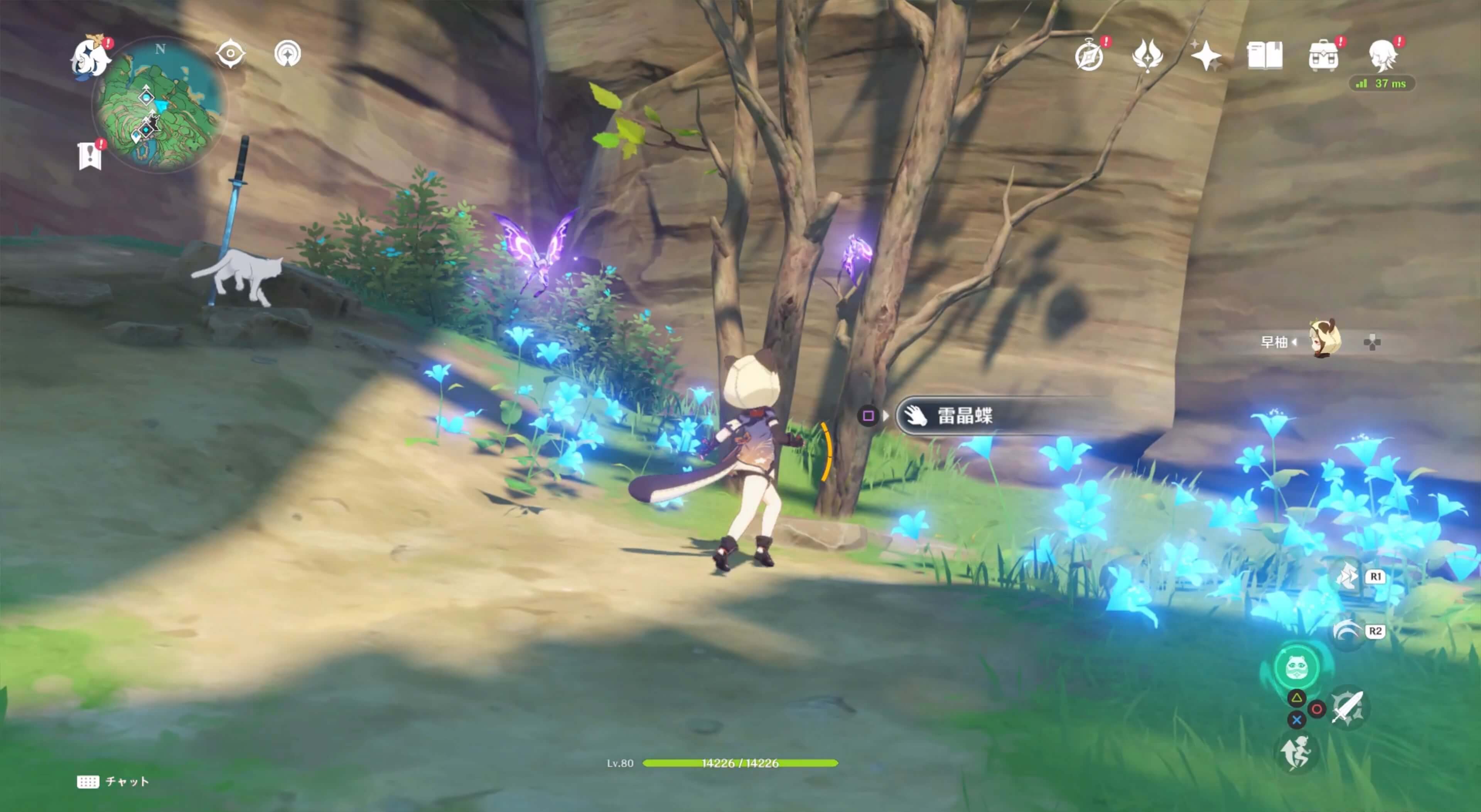 四方八方の網を使わずに捕まえると晶核が入手できる