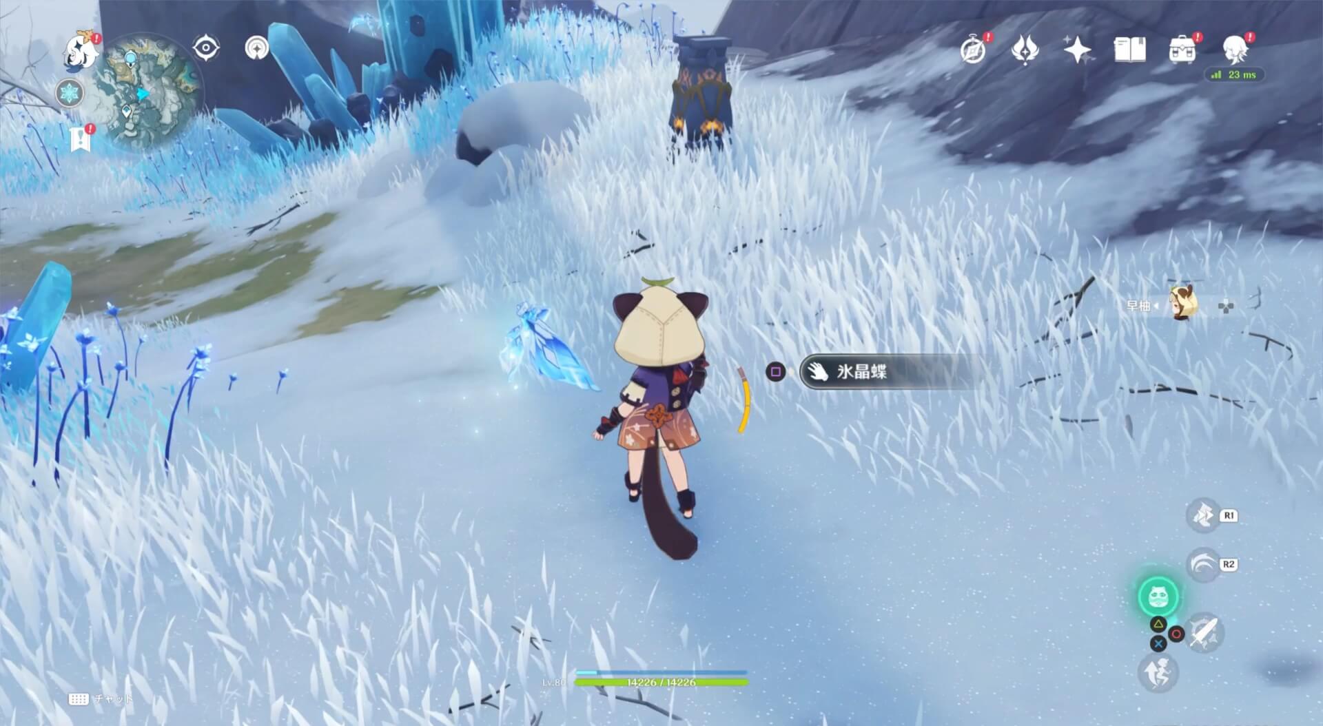 四方八方の網を使わずに捕まえると晶核が入手できる