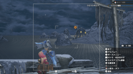 ウミウシボウズの写真を撮ろう