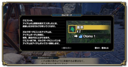 ガルクポーチ