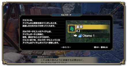 ガルクポーチ