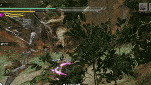 ヤドから水噴射