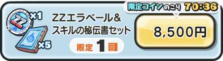 ZZエラベールコイン＆スキルの秘伝書セット値段.jpg