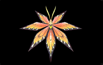 シナトオオモミジの画像