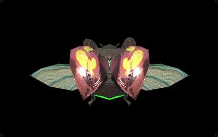 アムルマリキータの画像