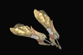 ヴァルトス・オスの画像