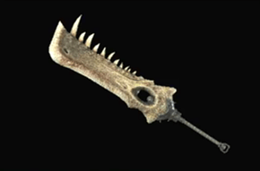 コウリュウノキバ改の画像