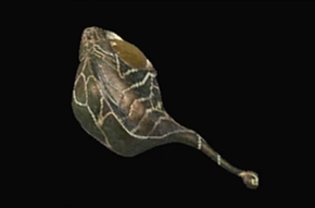 コロサル＝ダオラ改の画像