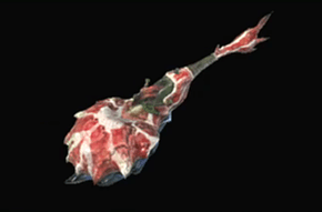 シェルカスタネットの画像