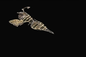 ザンブル＝ダオラの画像