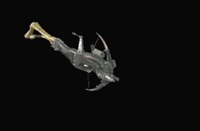 カンタロスガンの画像