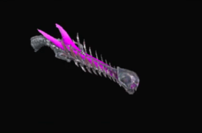 レイofヴァイスの画像