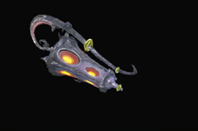 ルパ・ド・ネフィラの画像