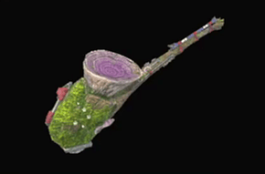 大毒奏ファンガサナルの画像