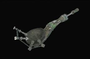 毒妖笛ヒルヴンテンポの画像